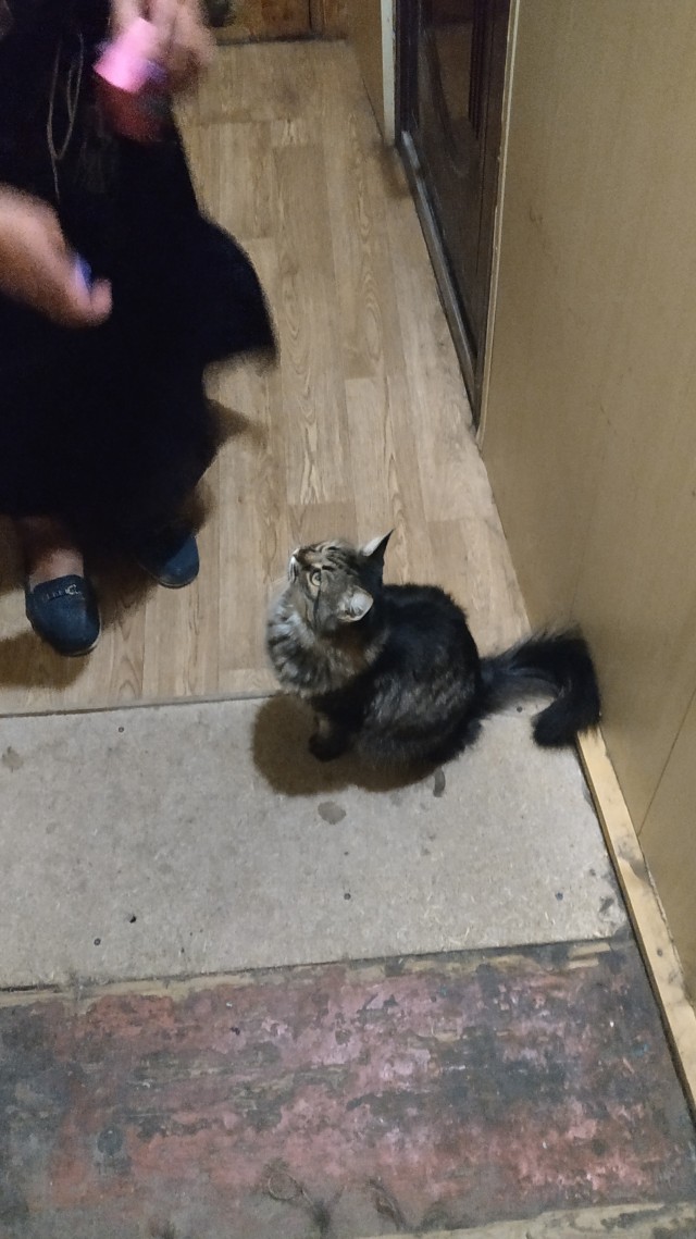 Марсианские... тьфу, Таганрогские хроники
