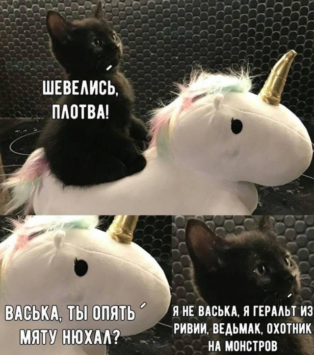 Как я попал в рабство