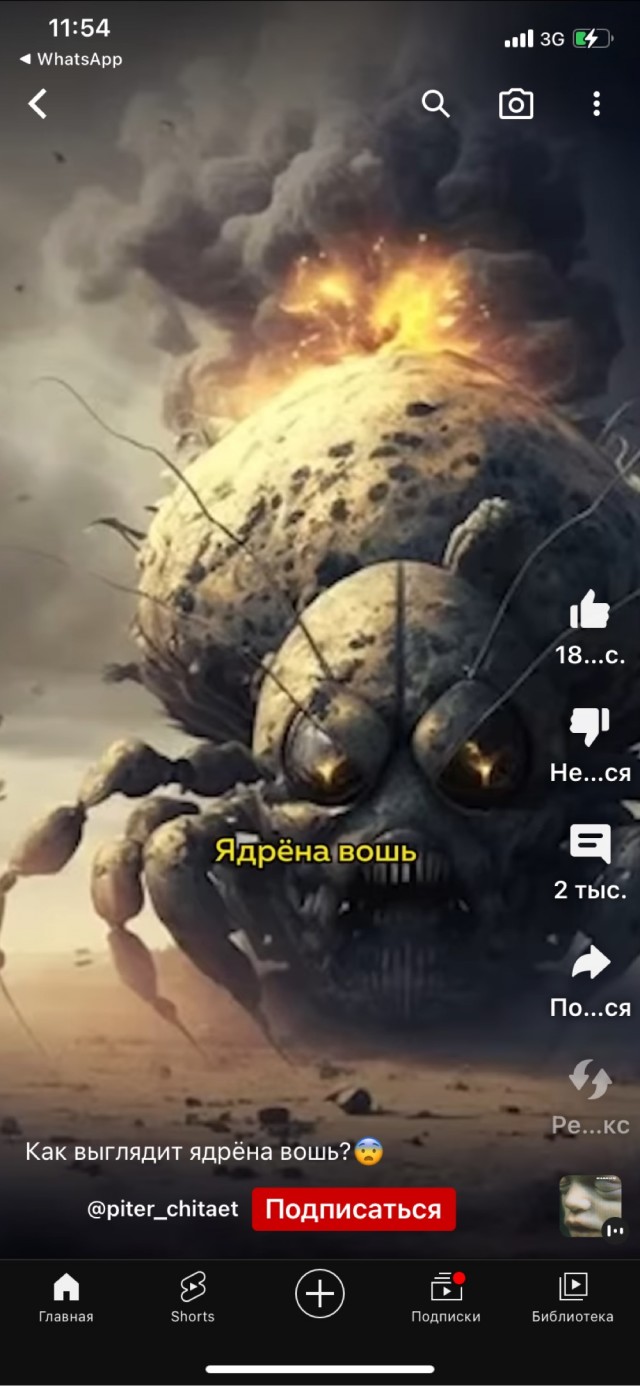 Долбоящер, водятел, газетная утка — нейросеть дословно показала, как они выглядят