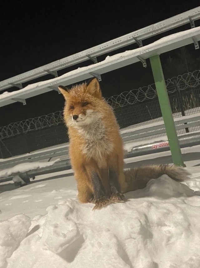 Держимся мужики!