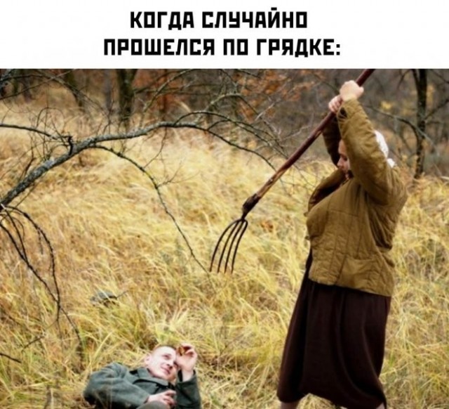 Весёлый полтишок 08.05.23