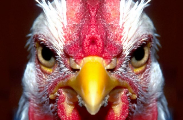 Что хотела, то и получила⁠⁠