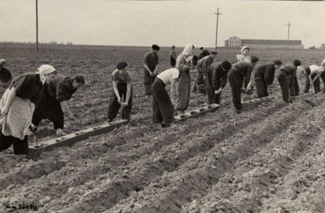 Фотографии из прошлого нашей страны - 31