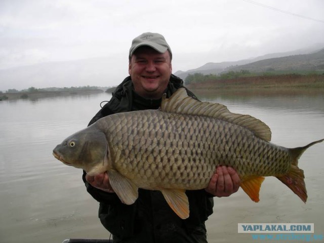 Родиться в Северной Корее