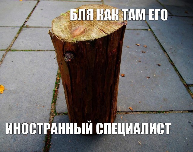 Новые государственные языки?