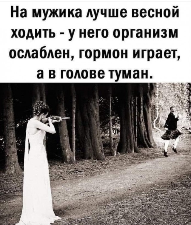 Так себе картинки 08.05.24