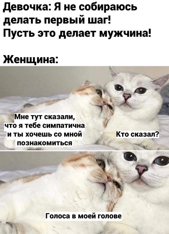 Никакие картинки