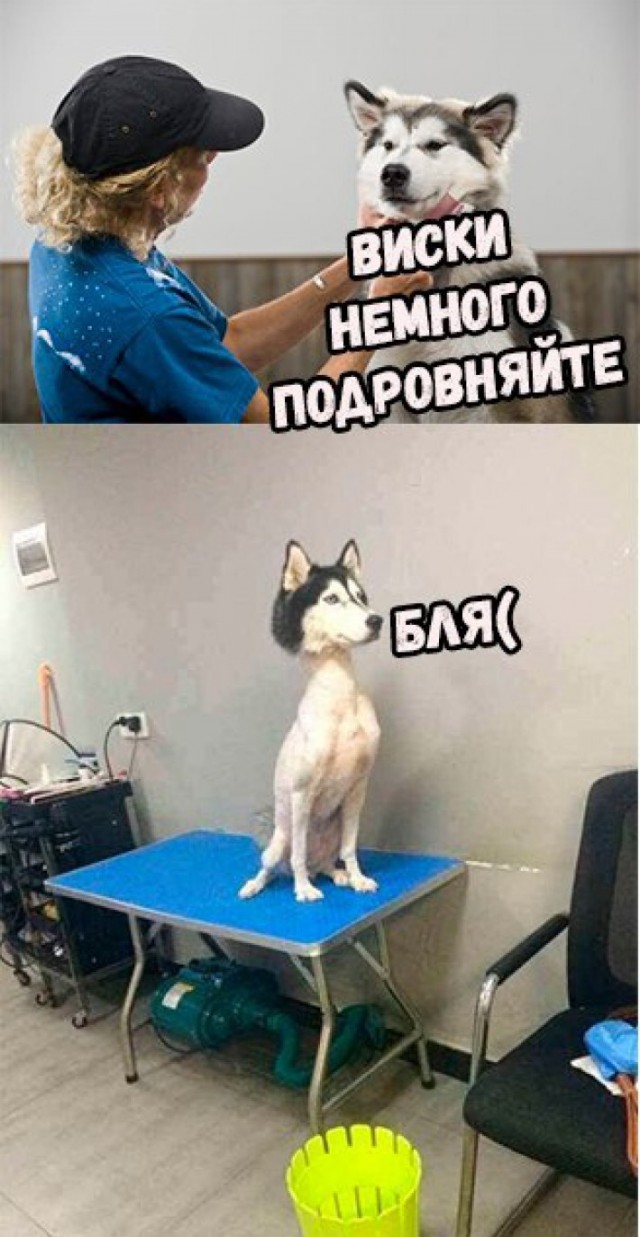 А не побаянить ли мне по старой памяти