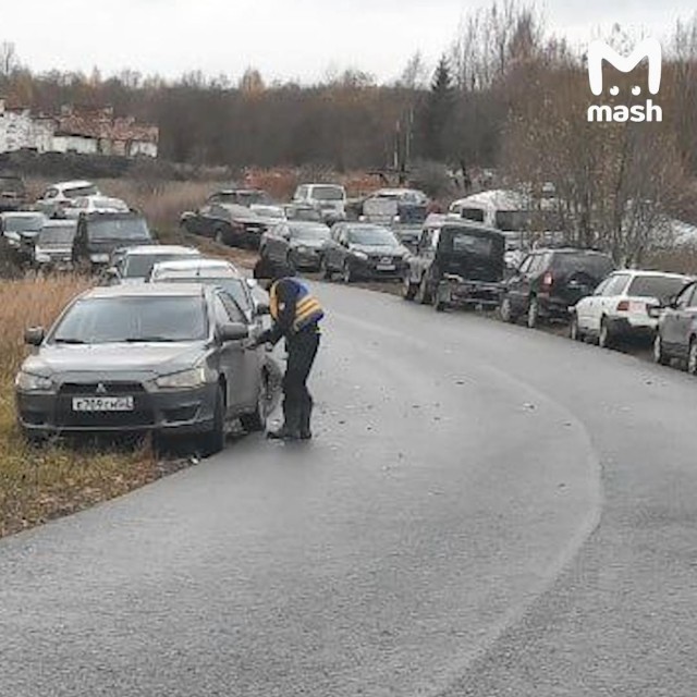 100 тонн форели стоимостью 100 млн рублей сбежало из рыбного хозяйства под Новгородом