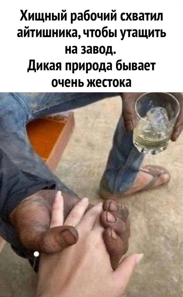 Околоайтишные мемчики 6