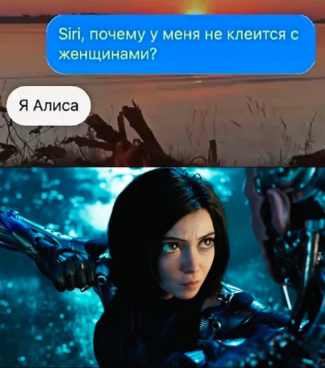 Весёлый полтишок 22.11.24