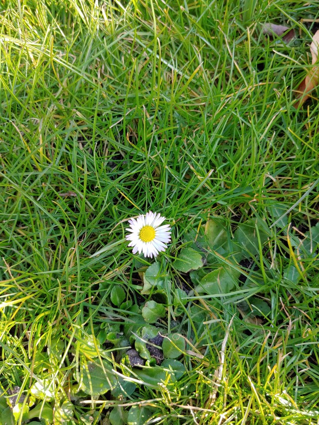 С Праздником ЯПовчанки!