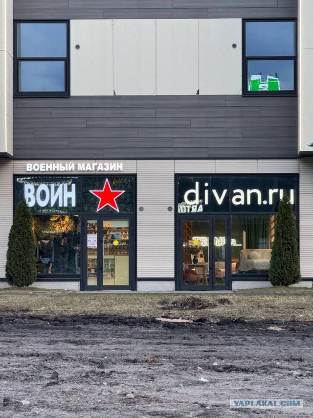 Кто ты, воин ЯПа?