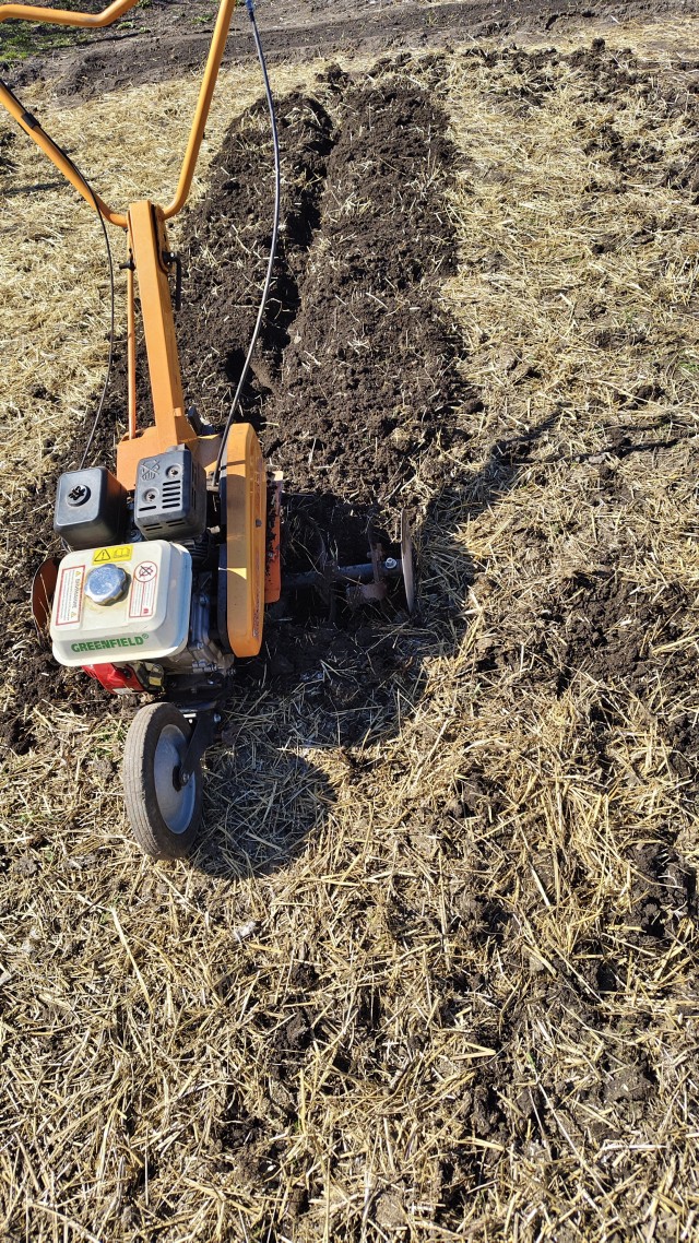 С весной Вас)