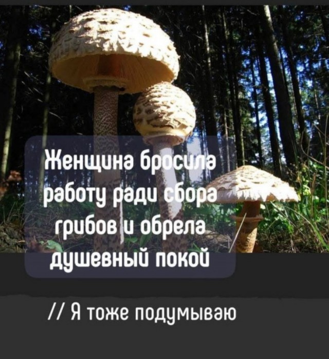 Маленькая пятница 02.07.25