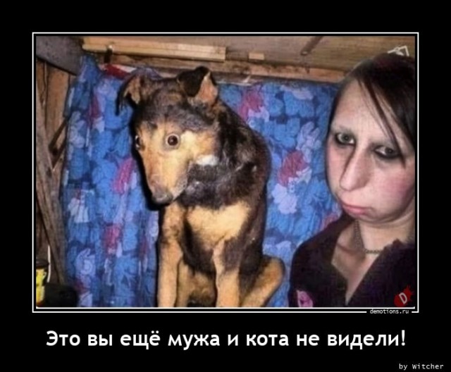 10 забавных фото, на которых собаки безумно похожи на хозяев