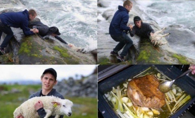 Пора деградировать. Дичь