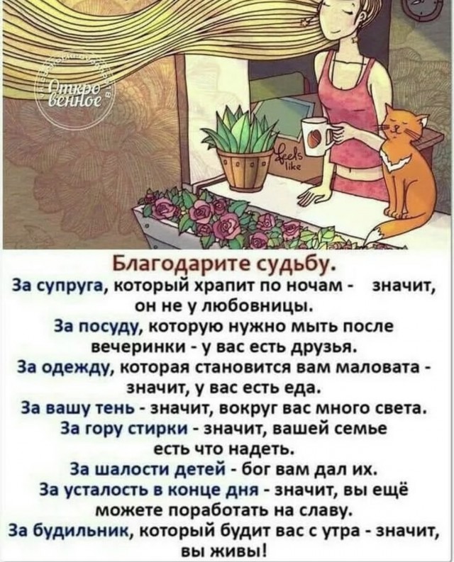 Картинки для деградации 32 (разной степени свежести)