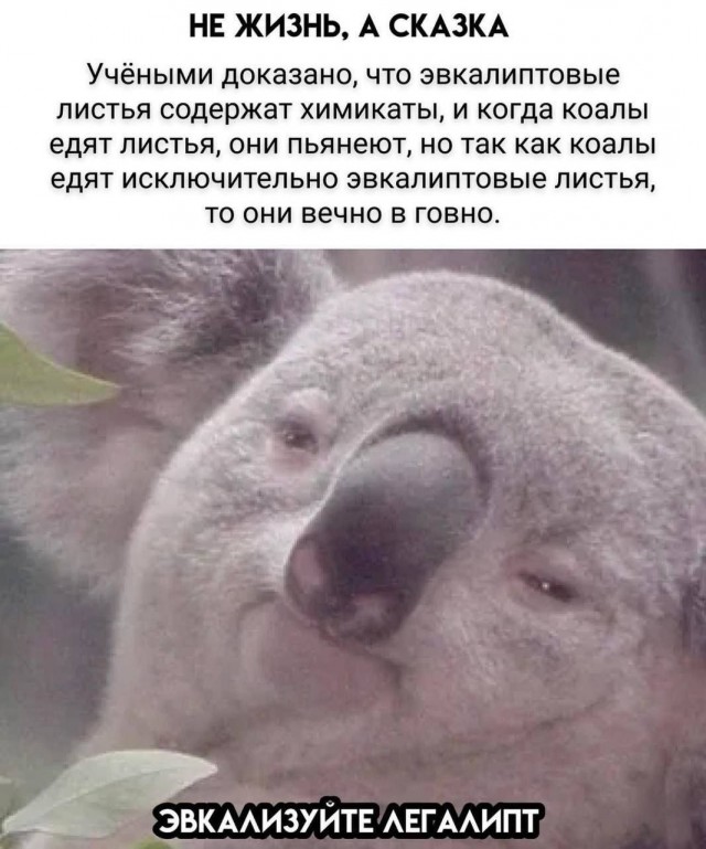 Картинки для деградации 34 (разной степени свежести)