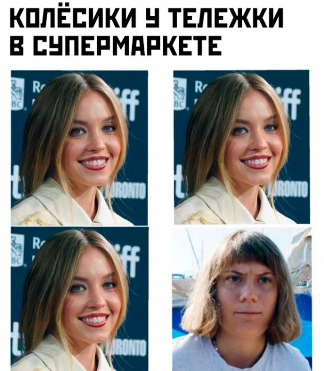20357125.jpg