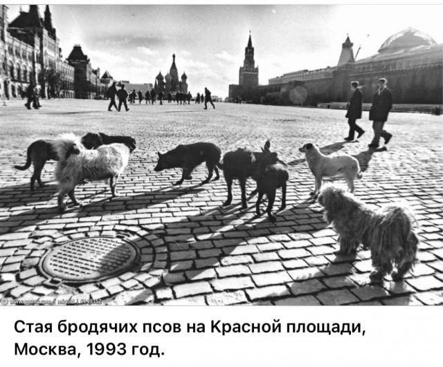 Интересные фотографии 1990 -х 12.10.25