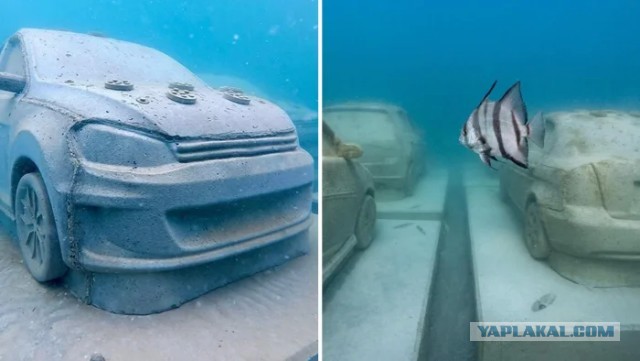 22 бетонных автомобиля установили под водой в Майами
