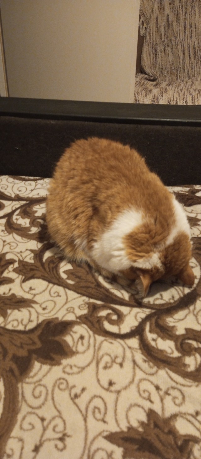 Оглянись, незнакомый прохожий