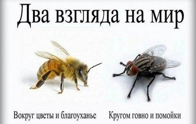 Президент Финляндии Александр Стубб высказал мнение, что война, развязанная Путиным, потерпела неудачу по всем фронтам.