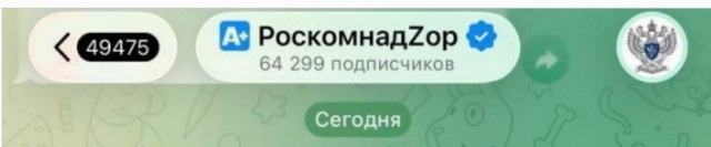 Роскомнадзор поздравил Рунет с Днем рождения в заблокированном ими же Телеграме