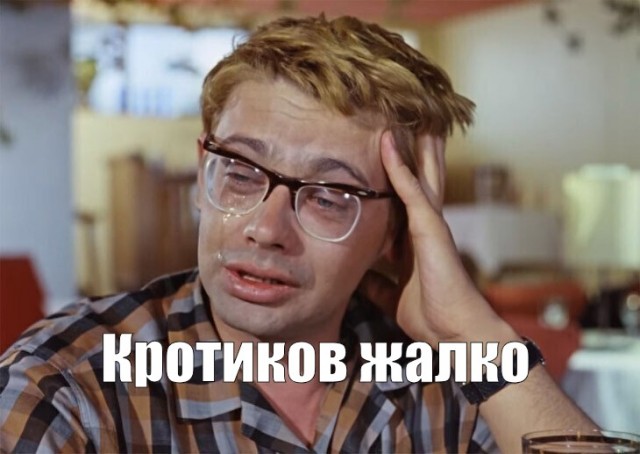 "А что это так бумкнуло?"