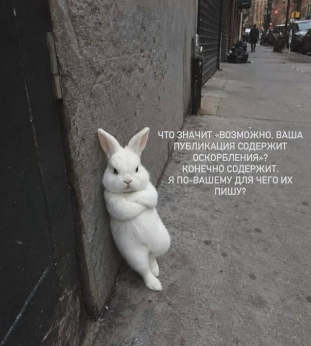 Картиночки, баянчики 17 июня
