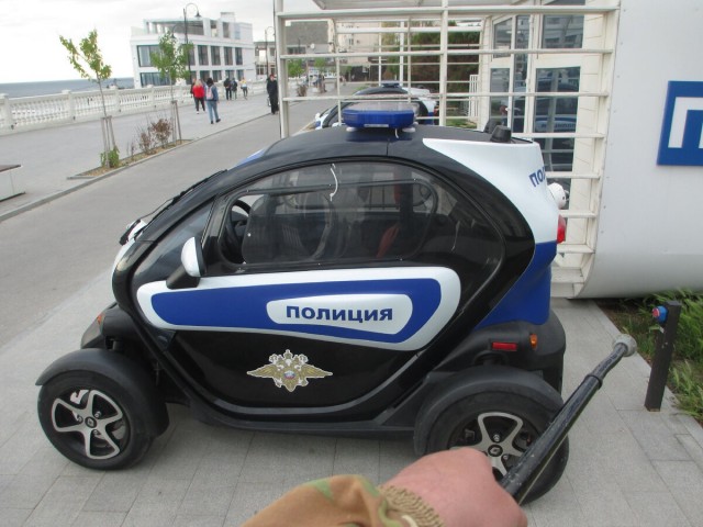 Такие видели машины ДПС?