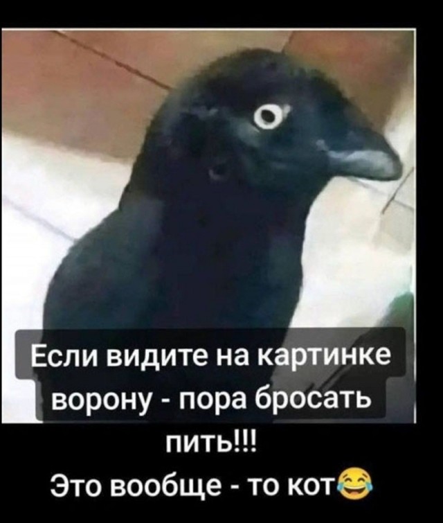 Так себе картинки 14.09.26