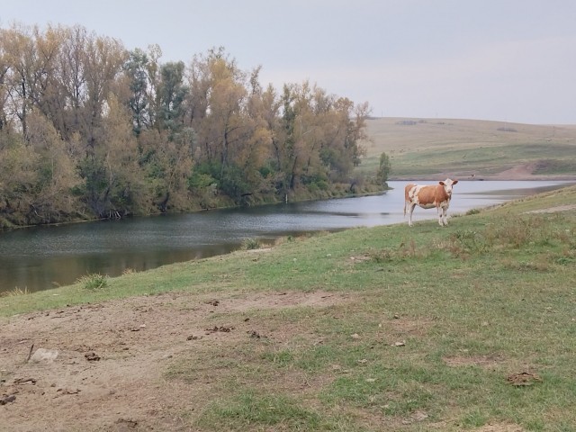 Подросток Енисей.