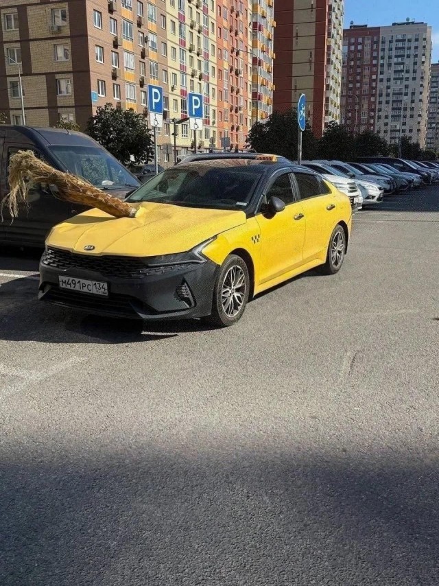 Кусок «пальмы» пробил капот машины такси