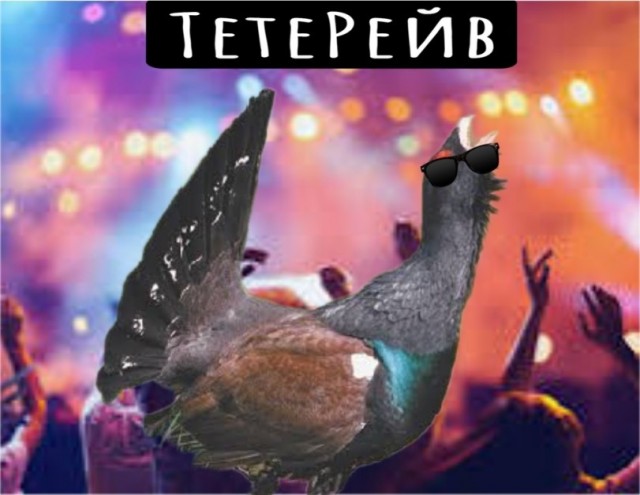 Картинки для деградации 283 (разной степени свежести)
