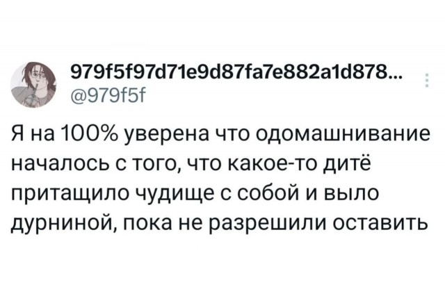 Они с Василием обрели друг друга