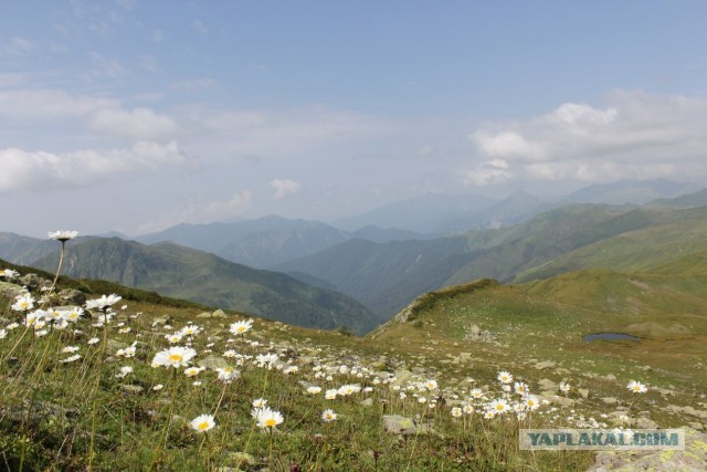В горах. Абхазия.