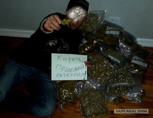 Как выращивают марихуану