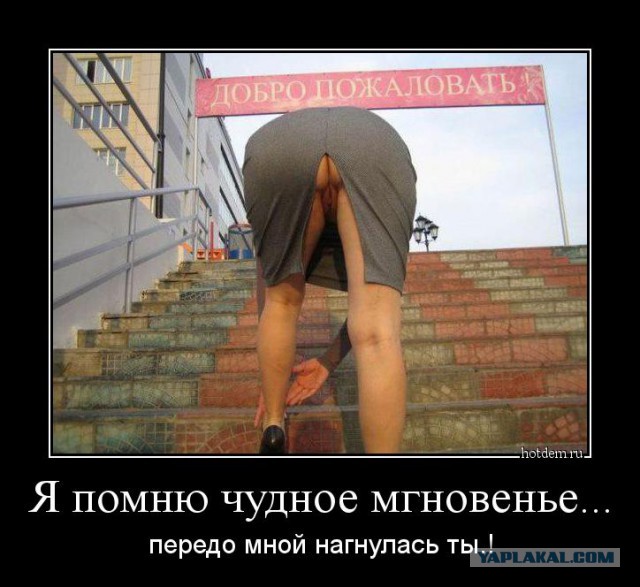 А как бы поступили Вы?