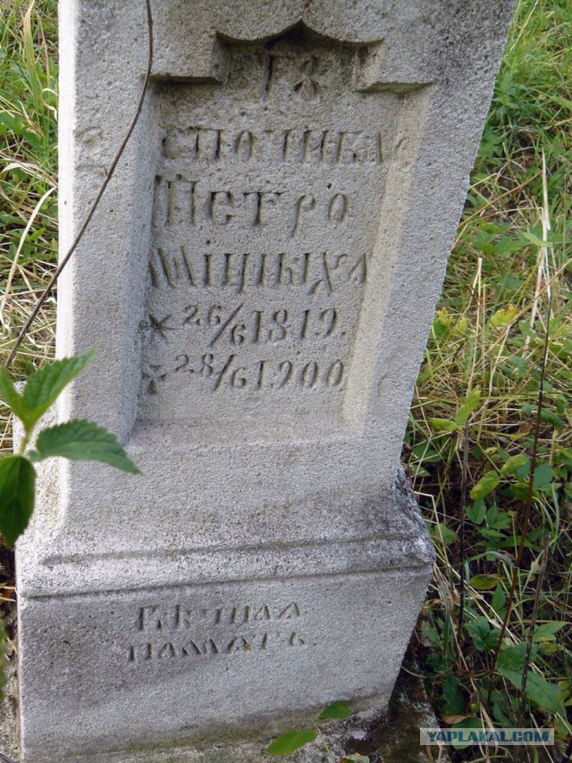 Говорят могилы.