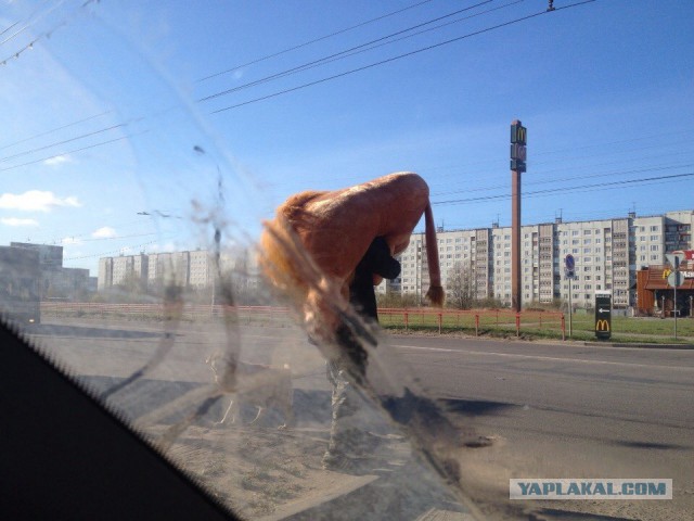 Девушку на наших глазах запихали в кузов!