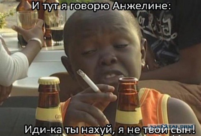 Забавные картинки из сети
