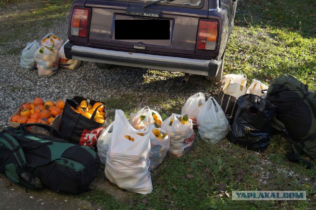 Небольшой фотоотчет о поездки в Абхазию