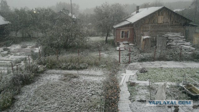 Сарайчик