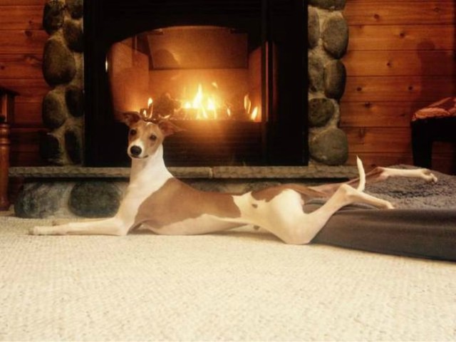 Подборка картинок