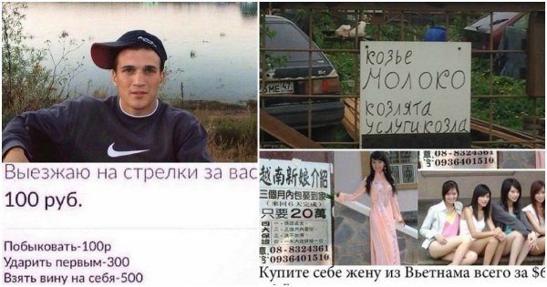 Любой каприз за ваши деньги!