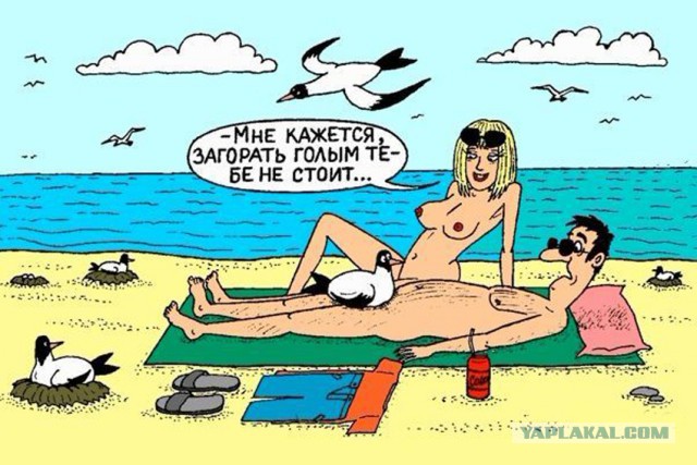 Пошлые картинки