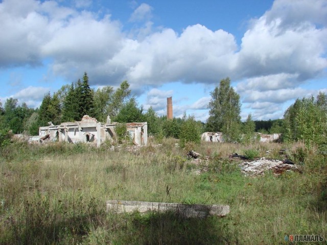 S.t.a.l.k.e.r - СТАЛКЕР