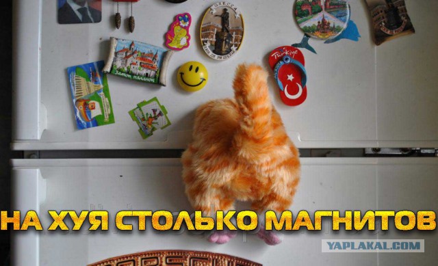 Жена мне что-то недоговаривает